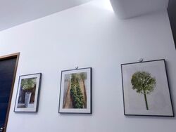 Truro Road (D8), Apartment #525677091
